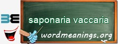 WordMeaning blackboard for saponaria vaccaria